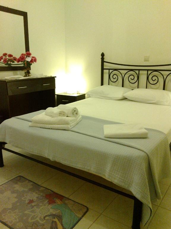 To Ampelaki Apartment Tsoukalades Room photo