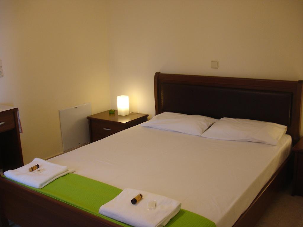 To Ampelaki Apartment Tsoukalades Room photo