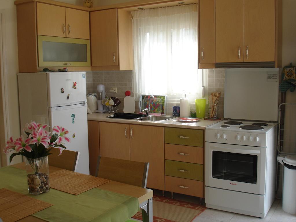 To Ampelaki Apartment Tsoukalades Room photo